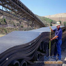 Nylon Conveyor Belt à vendre